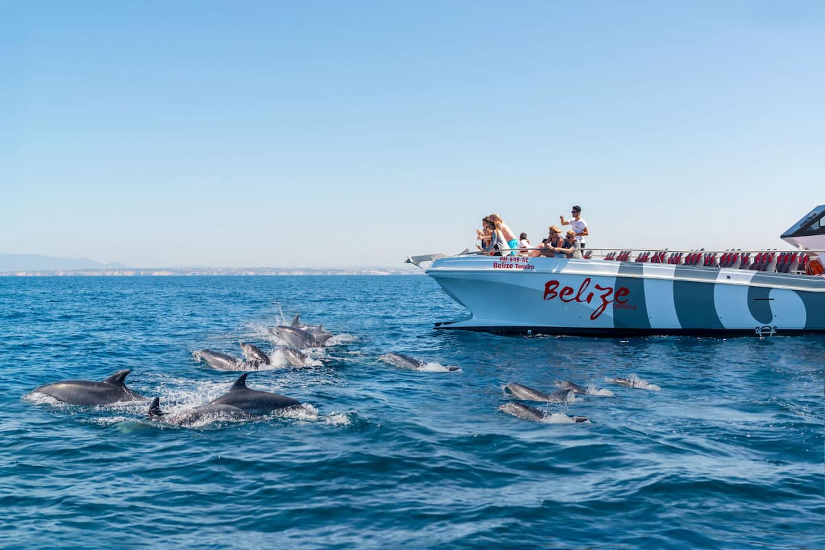 Benagil And Dolphins Vilamoura