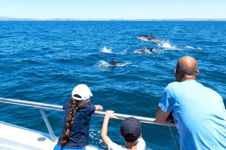 Benagil And Dolphins Vilamoura