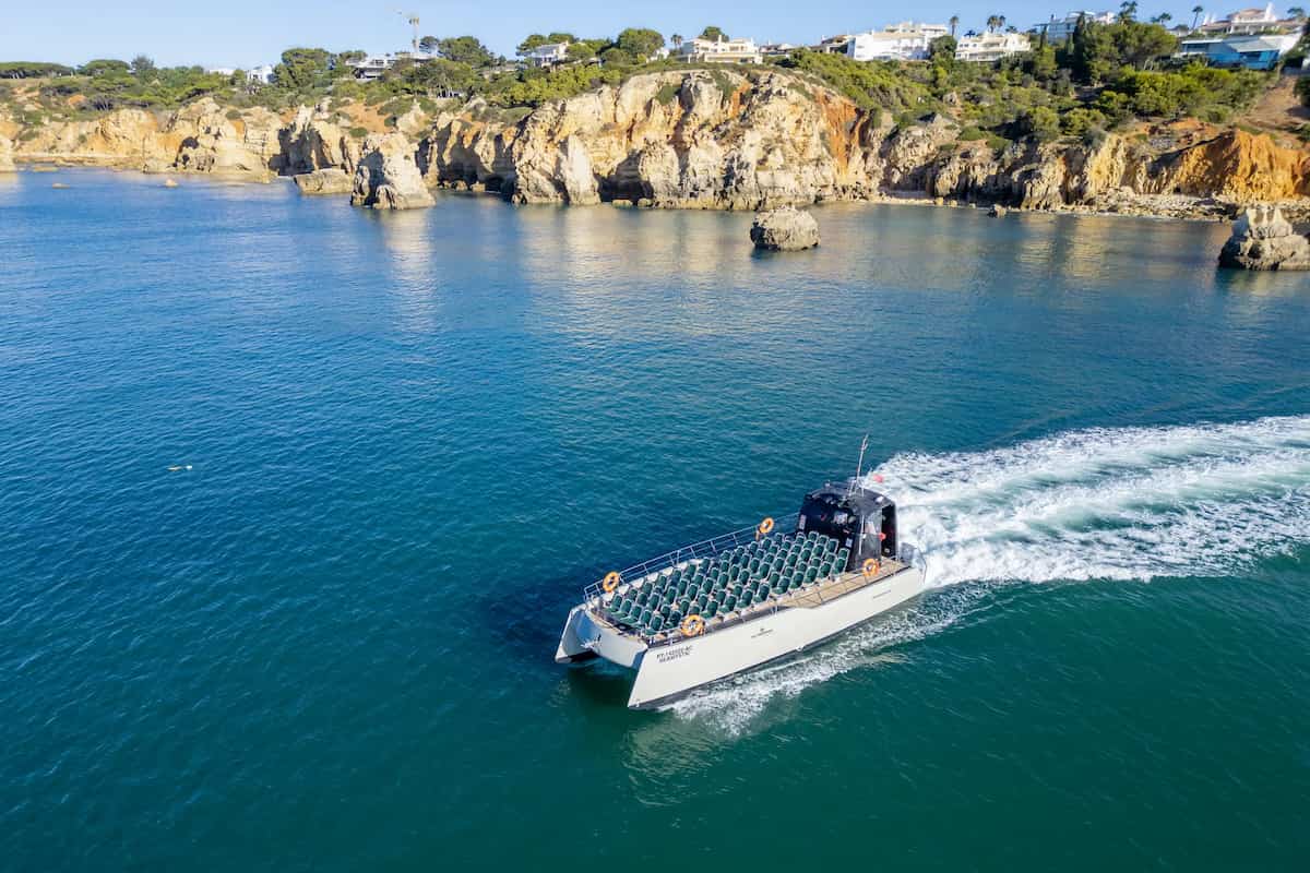 Benagil And Dolphins Vilamoura
