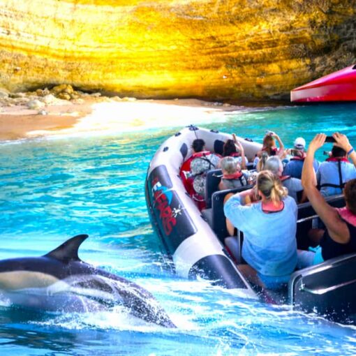 Lagos Benagil And Dolphin