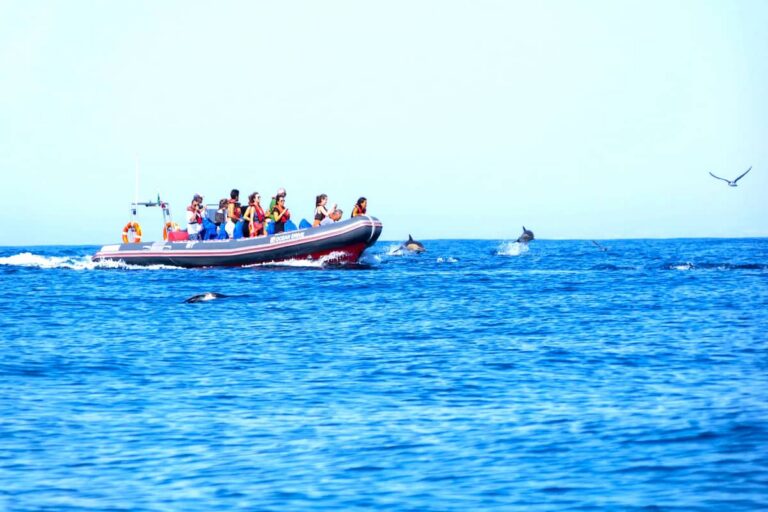 Lagos Benagil And Dolphins Boat Tour