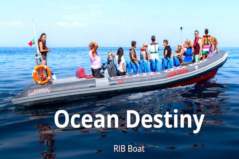 Lagos Benagil And Dolphins Boat Tour