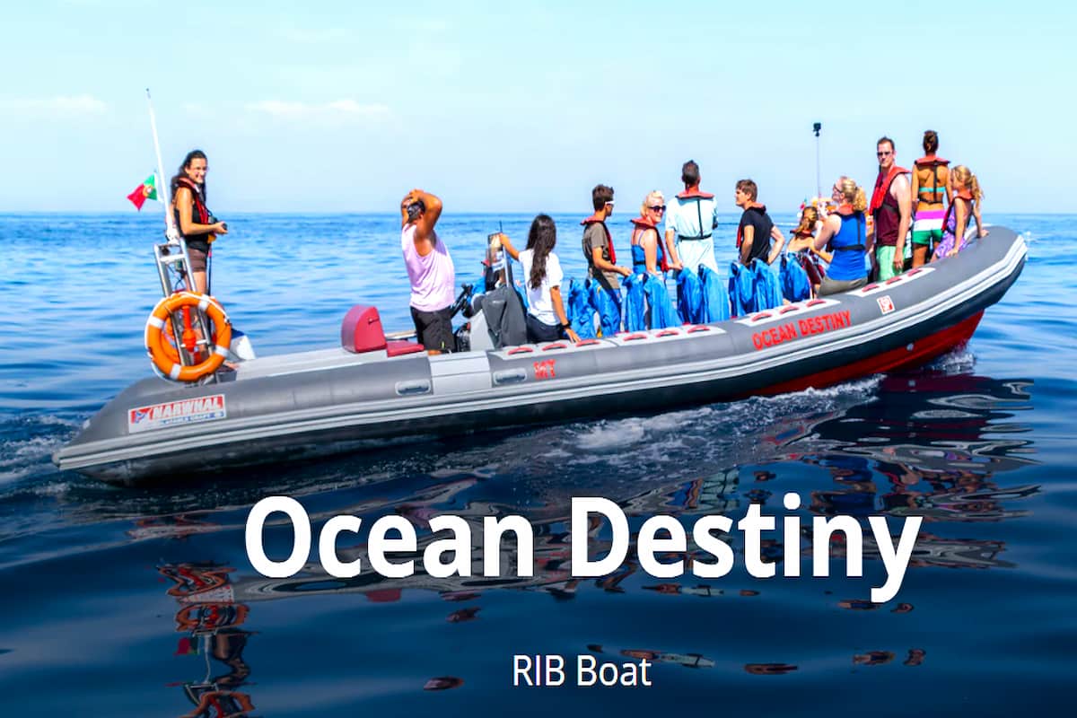 Lagos Benagil And Dolphins Boat Tour
