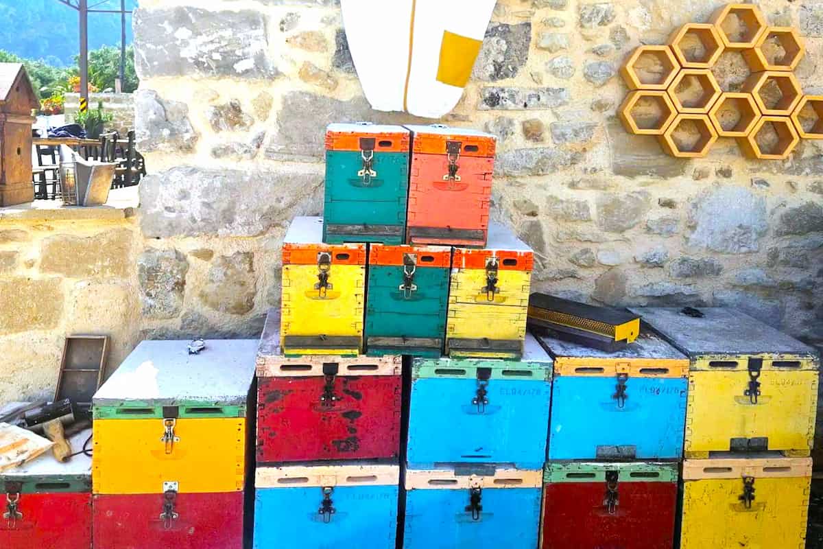 Chania Tasting Tour