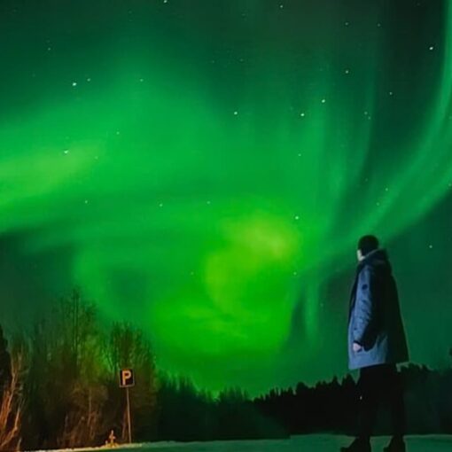 Rovaniemi Northern Lights Tour